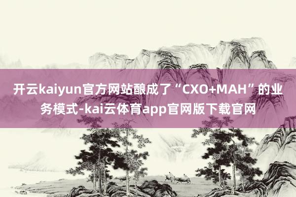开云kaiyun官方网站酿成了“CXO+MAH”的业务模式-kai云体育app官网版下载官网