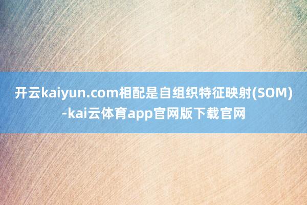 开云kaiyun.com相配是自组织特征映射(SOM)-kai云体育app官网版下载官网