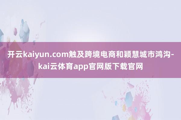 开云kaiyun.com触及跨境电商和颖慧城市鸿沟-kai云体育app官网版下载官网