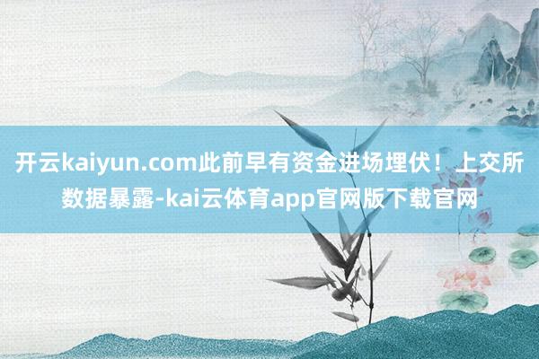 开云kaiyun.com此前早有资金进场埋伏！上交所数据暴露-kai云体育app官网版下载官网