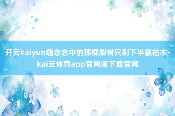 开云kaiyun缅念念中的那棵梨树只剩下半截枯木-kai云体育app官网版下载官网